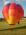 50m3 Model balloon envelope