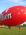 HJ-292 GEFA-FLUG AS 105 GD