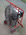 5.0 HP inflation fan Honda