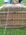 Cameron basket CB 300 4a