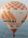 OO-BXI Lindstrand LBL 105A