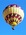 OO-BHV Lindstrand LBL 105A