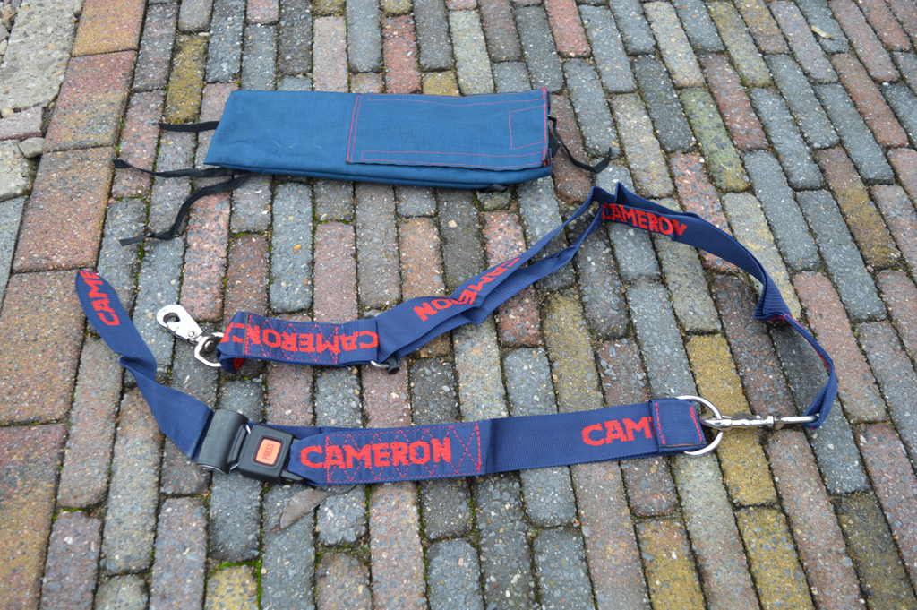 Cameron pilot restraint harness